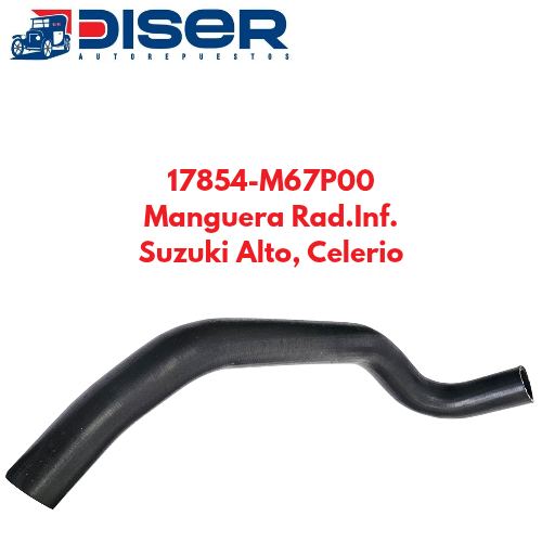MANG. DE RAD. INF./SUZ. ALTO. CELERIO (14->)